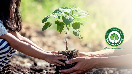 Little Partners® Partners with Arbor Day Foundation  to Plant Thousands of Trees