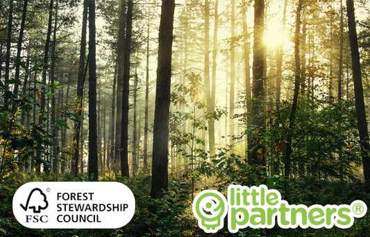 Why We Use the Forest Stewardship Council to Manufacture Eco-Friendly Toddler Furniture