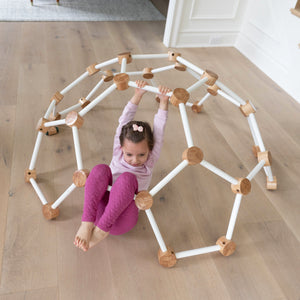 Kids Climbing Dome