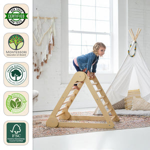 Learn 'N Climb Triangle