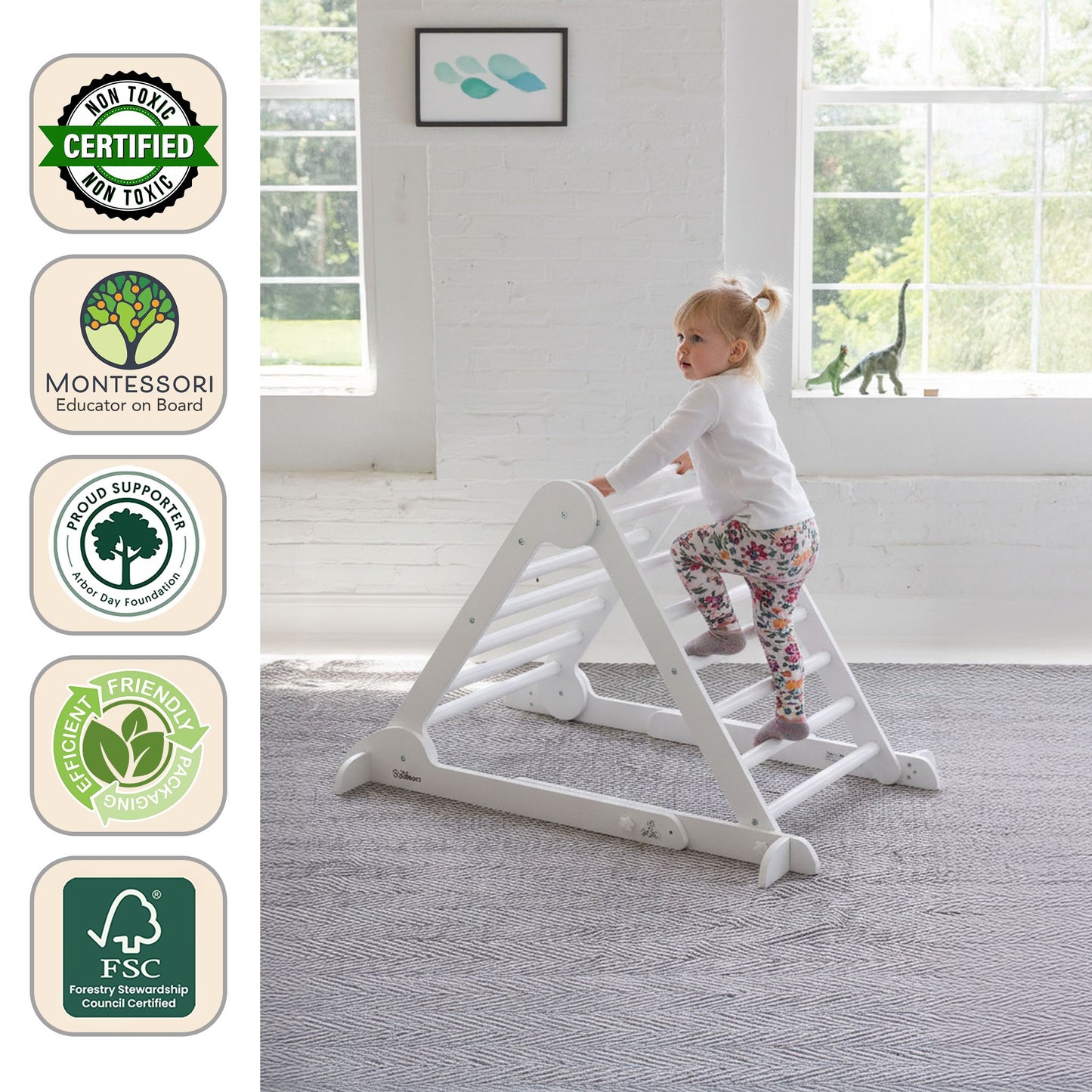 Learn 'N Climb Triangle