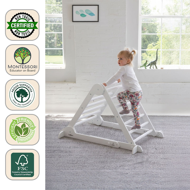 Learn 'N Climb Triangle