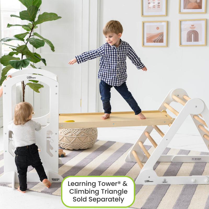 Indoor Slide for Toddlers