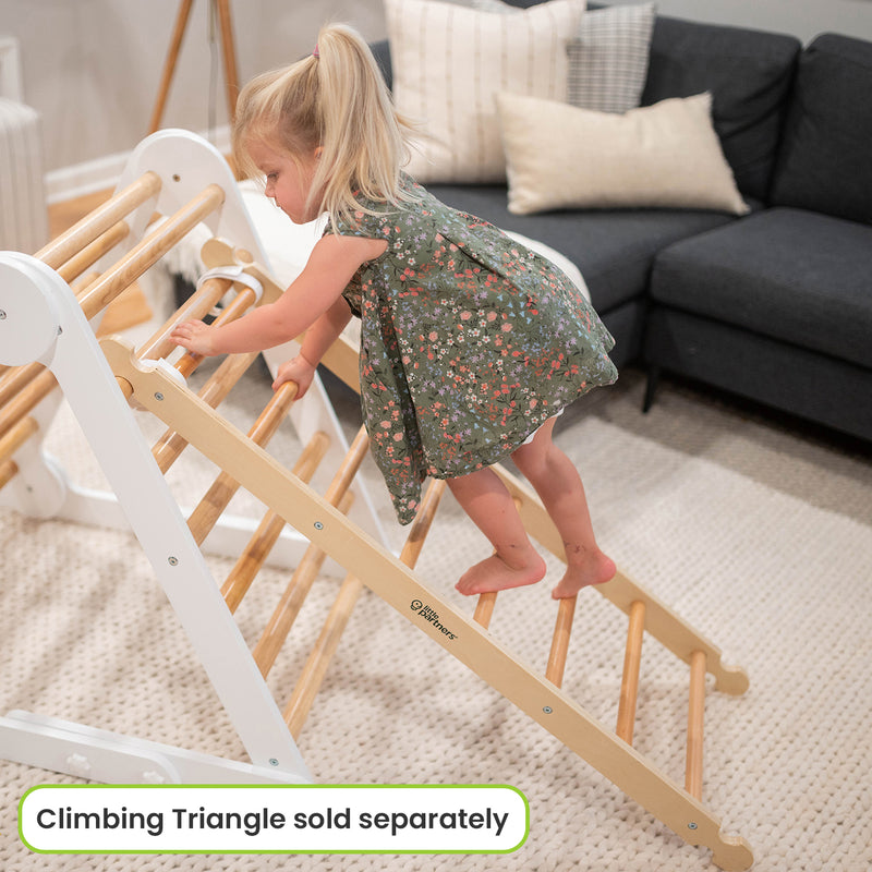 Climbing Ladder