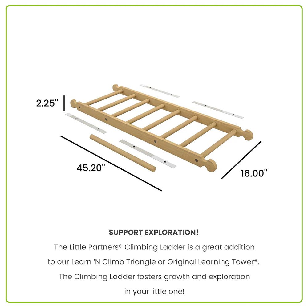 Climbing Ladder