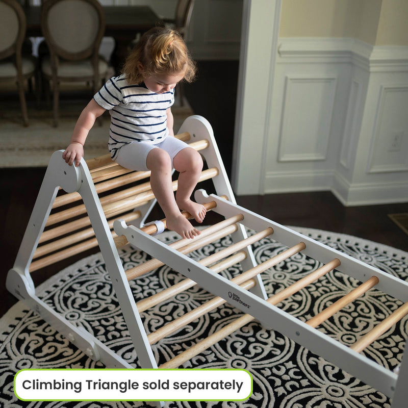 Climbing Ladder