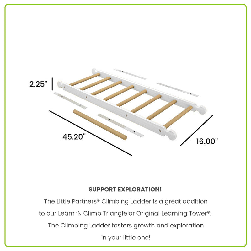 Climbing Ladder