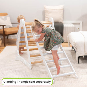 Climbing Ladder