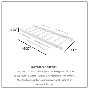 Climbing Ladder