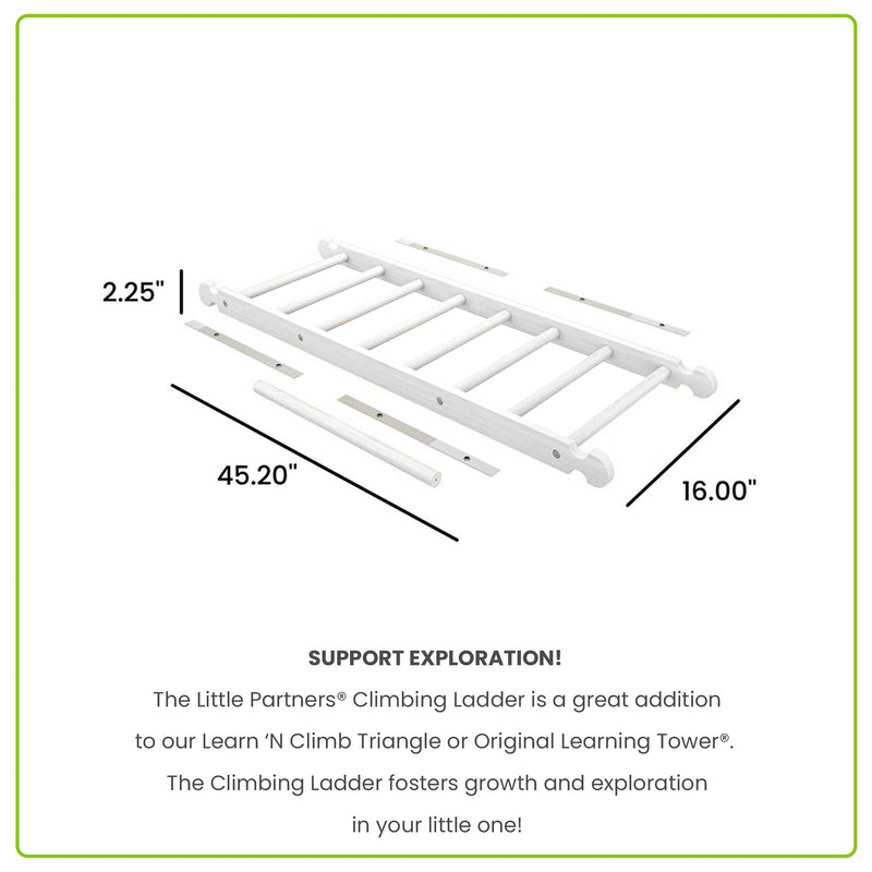 Climbing Ladder