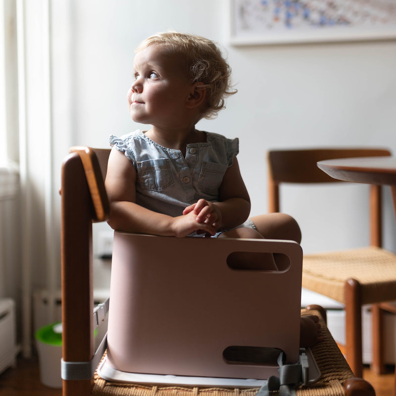 3-in-1 Learning Booster Seat and Step Stool - Main Image